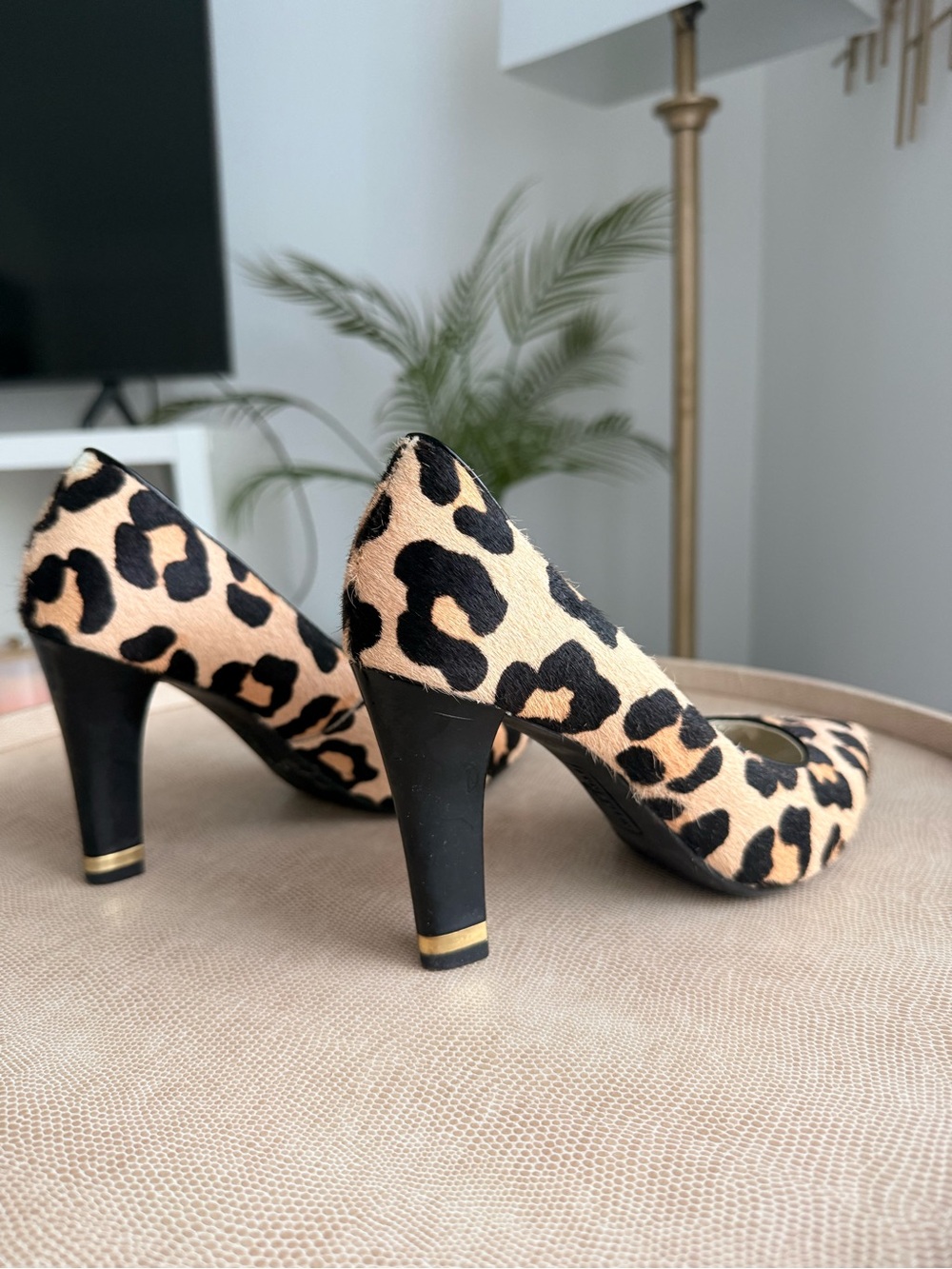 Anne Klein Leopard-Print Pointed Toe Pumps - Black & Tan - Picture 4 of 4